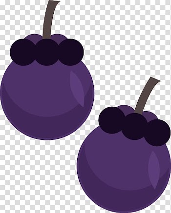Blueberry Fruit Euclidean , Blueberry material transparent background PNG clipart