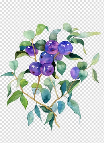 Blueberry Fruit, Wild Blueberry material transparent background PNG clipart