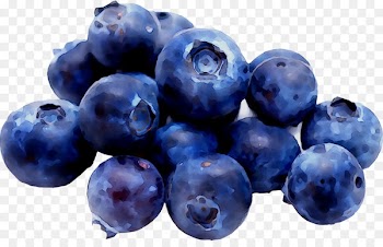 Blueberry Huckleberry Bagel Bilberry Mr Yummy Rosquilla baja en calorias -  
