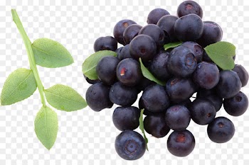 Blueberry, Juice, European Blueberry, Natural Foods, Fruit PNG