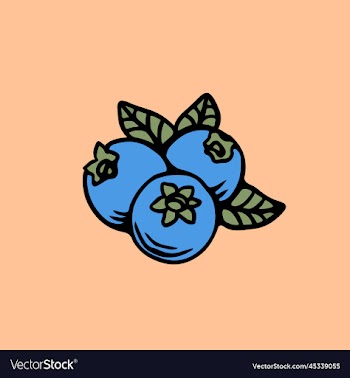 blueberry logo