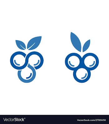 Blueberry logo template design blueberry logo vector image