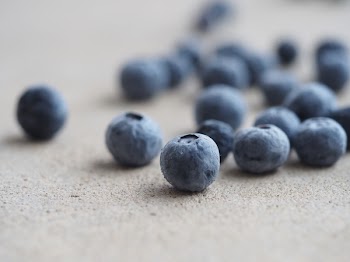 Blueberry Lot