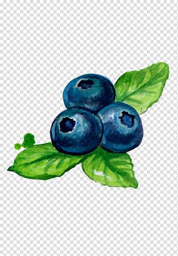 Blueberry painting, Bilberry Blueberry Fruit, Blueberry painted wind transparent background PNG clipart