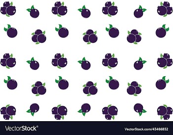 blueberry pattern