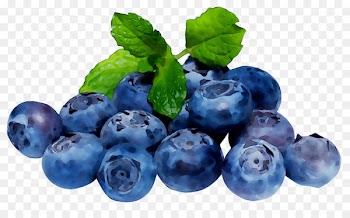 Blueberry pie Cheesecake Blueberry Tea American Muffins Tart -  