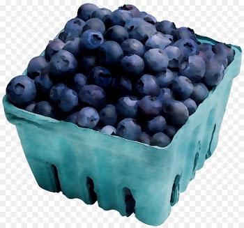 Blueberry Tea Bilberry Food -  