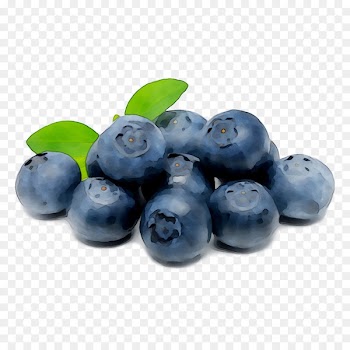 Blueberry Tea Bilberry Huckleberry Berries -  