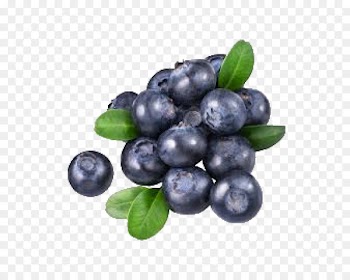 Blueberry Tea Bilberry Huckleberry - blueberry 