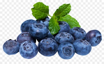 Blueberry Tea Blueberry pie Cheesecake American Muffins - blueberry 