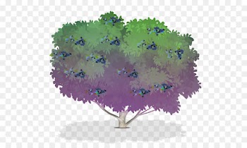 Blueberry, Tree, Shrub, Leaf PNG