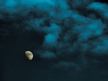 bluemist24312.jpg