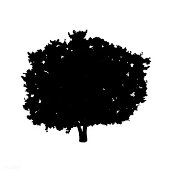 Bluewood tree silhouette on white background | Free stock vector - 488656