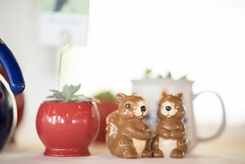 Blur Photography of Two Brown Ceramic Squirrel Figurines