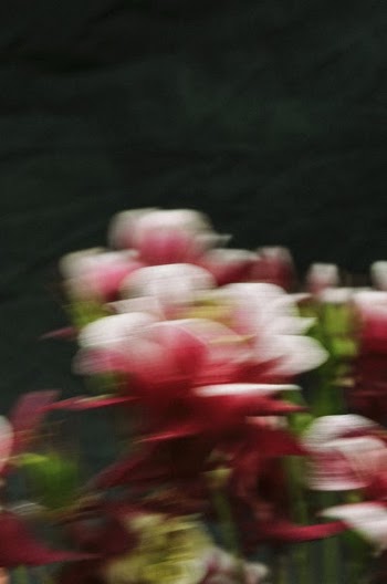 Blurred Photo with Red and White Colors · Free Stock Photo