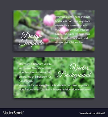 Blurred photos with spring tree and grass vector image