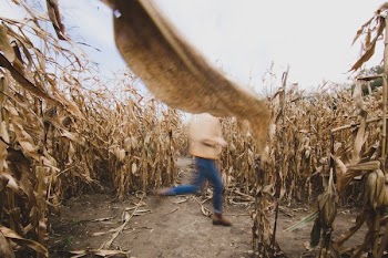 Blurry Runner Through Farm Field