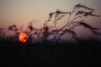 Blurry sunset 2