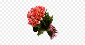 Blushing Pink Roses Bunch - Bounch Of Rose Transparent