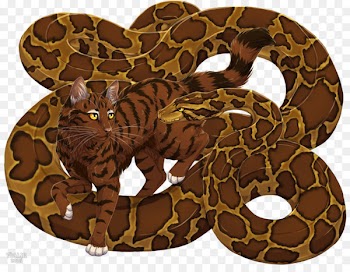 Boa constrictor Rattlesnake Kingsnakes Reptile - cat 