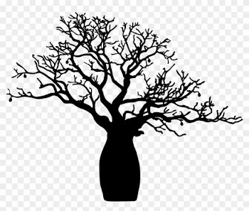 Boab Tree - Boab Tree Black And White