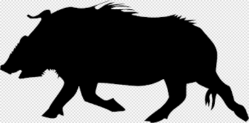 Boar PNG images free download, wild pig PNG