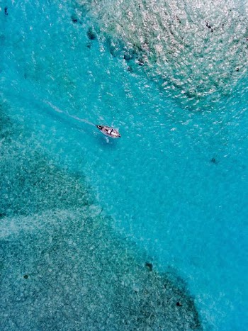 boat cruising on water