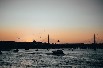 Boat on Body of Water Near Bridge