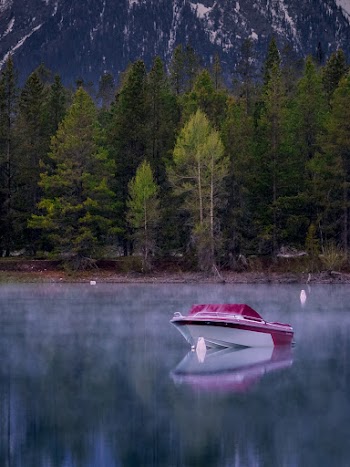 Boat on Calm Body of Water Near Trees
