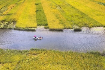 Boat on River Between Green Field