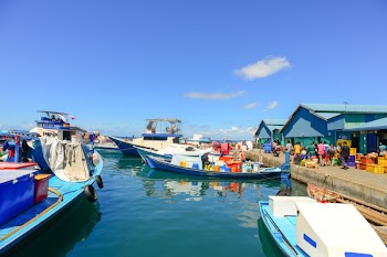 Boat Pierre
