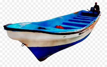 Boat Plastic -  