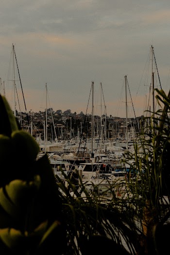 Boats