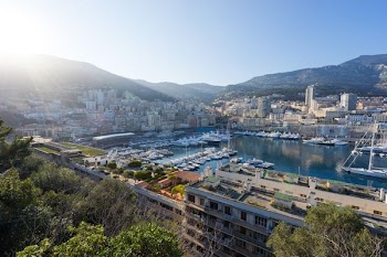 boats dock near city