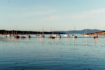 Boats In Ocean Marina