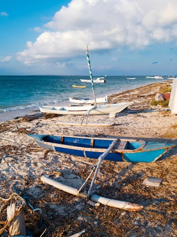 Boats Lot Near Body of Water