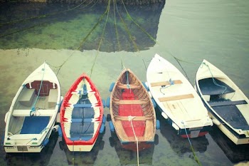          Boats Of Colour Free Photo     