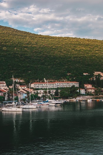 Boats on Body of Water