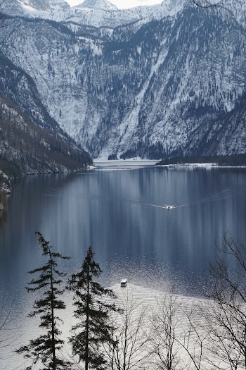 Boats on Body of Water Near Trees and Glacier Mountains