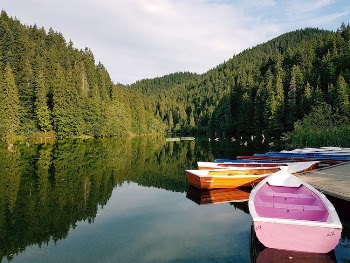 Boats On Calm Body Of Water Surrounded By Trees