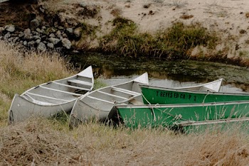 Boats on Grass