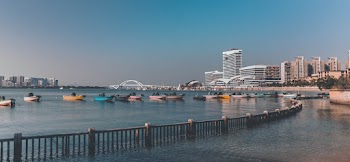 Boats on Water Near Bridge