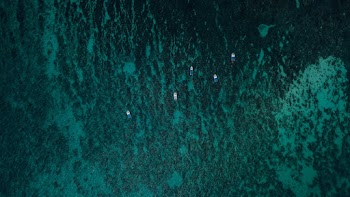 Boats Out On The sea