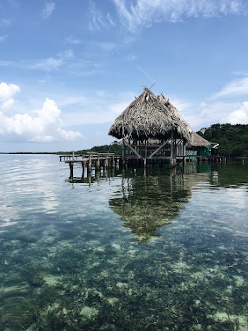 Bocas del Toro, Changuinola, Panama. | Free Photo - rawpixel
