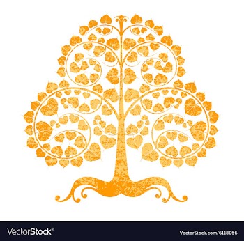 Bodhi tree on a white background vector image
