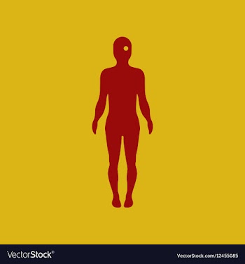 Body eye vector image