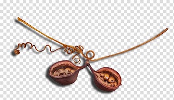 Body Jewellery, others transparent background PNG clipart
