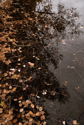 Body of Water