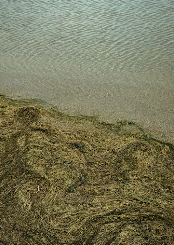 Body of Water