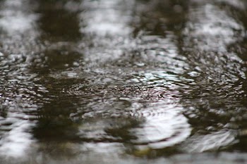 body of water